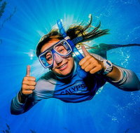 Calypso Outer Great Barrier Reef Cruise from Port Douglas - Gold Coast Attractions