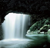Natural Bridge Glow Worm Night Tour from Gold Coast - Gold Coast Attractions