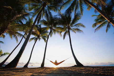 Port Douglas And Hartley's Crocodile Adventure Day Trip From Cairns - Gold Coast Attractions 0