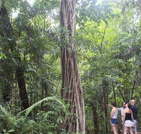 Sightseeing Tour - Half Day - Gold Coast Attractions