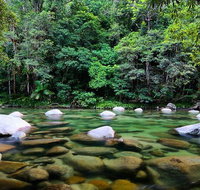 Mossman Silky Oaks to/from Cairns - Gold Coast Attractions