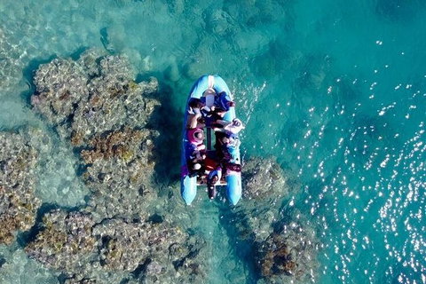 Glass-bottom Boat Tour With Whitehaven Beach - Gold Coast Attractions 0