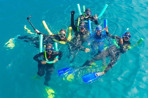 Glass-bottom Boat Tour With Whitehaven Beach - Gold Coast Attractions 1