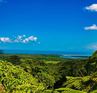 Cape Tribulation Day Tour - Gold Coast Attractions