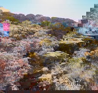 Kings Canyon Day Trip from Ayers Rock - Gold Coast Attractions