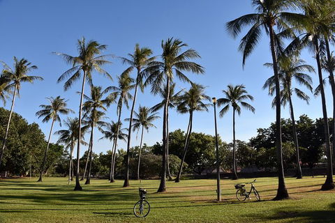 Darwin Shore Excursion: Hop-on Hop-off Bus Tour - Gold Coast Attractions 11