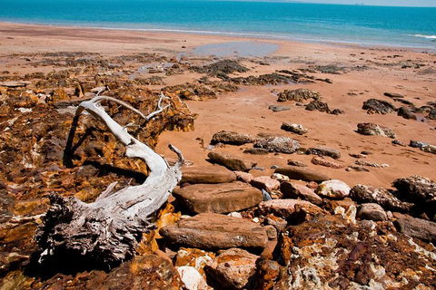 Darwin Shore Excursion: Hop-on Hop-off Bus Tour - Gold Coast Attractions 9