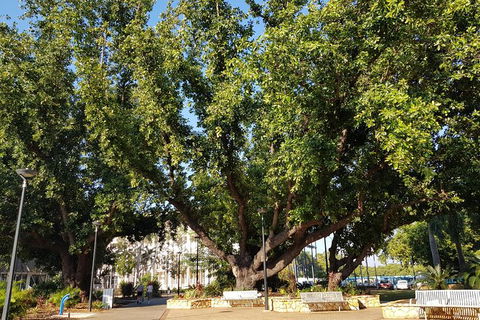 Darwin Heritage Walk - Gold Coast Attractions 4