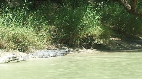 3-Day Kakadu National Park And Waterfalls Tour From Darwin - Gold Coast Attractions 2