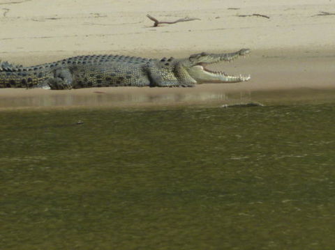 3-Day Kakadu National Park And Waterfalls Tour From Darwin - Gold Coast Attractions 4