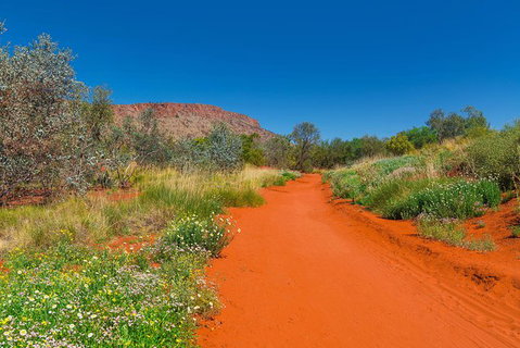 Alice Springs Desert Park General Entry Ticket - Gold Coast Attractions 7