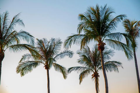 Darwin City Sightseeing Tour With Optional Sunset Cruise - Gold Coast Attractions 1