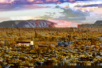 Coach Transfer from Kings Canyon Resort to Ayers Rock Resort