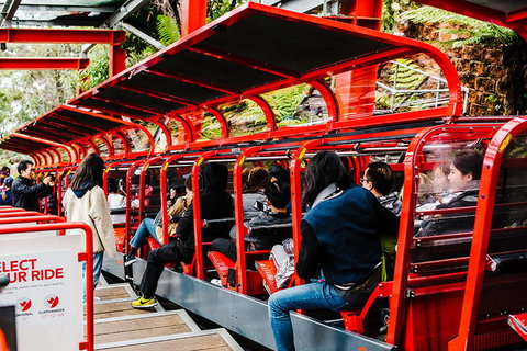 All-Inclusive Blue Mountains Day Trip With River Cruise - Gold Coast Attractions 7