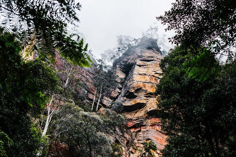 All-Inclusive Blue Mountains Day Trip With River Cruise - Gold Coast Attractions 3