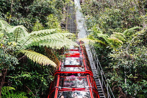 All-Inclusive Blue Mountains Day Trip With River Cruise - Gold Coast Attractions 6