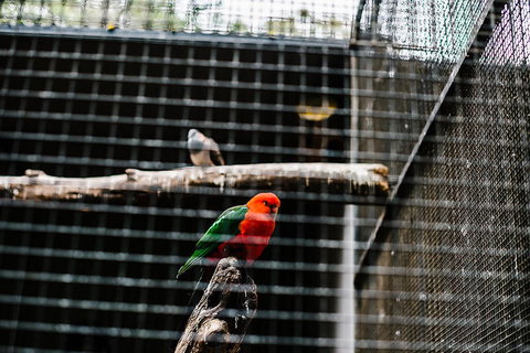 All-Inclusive Blue Mountains Day Trip With River Cruise - Gold Coast Attractions 17