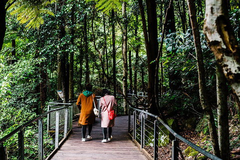 All-Inclusive Blue Mountains Day Trip With River Cruise - Gold Coast Attractions 10