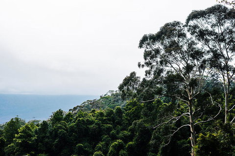 All-Inclusive Blue Mountains Day Trip With River Cruise - Gold Coast Attractions 18