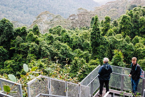 All-Inclusive Blue Mountains Day Trip With River Cruise - Gold Coast Attractions 2