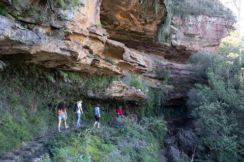 All-Inclusive Blue Mountains Day Trip With River Cruise - Gold Coast Attractions 38