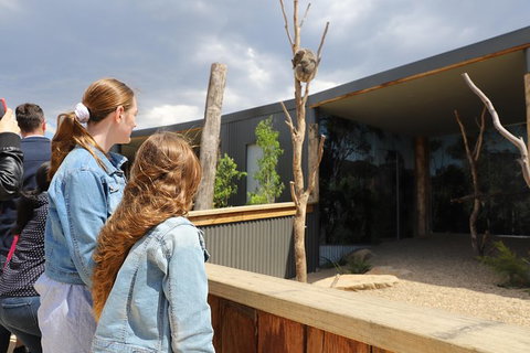 All-Inclusive Blue Mountains Day Trip With River Cruise - Gold Coast Attractions 23