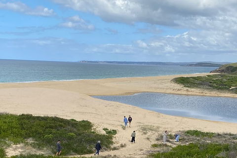 The Eurobodalla Experience (Full Day Private Tour Including Lunch) - Gold Coast Attractions 19