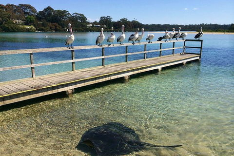 The Eurobodalla Experience (Full Day Private Tour Including Lunch) - Gold Coast Attractions 2