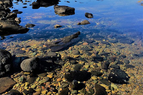 The Eurobodalla Experience (Full Day Private Tour Including Lunch) - Gold Coast Attractions 14