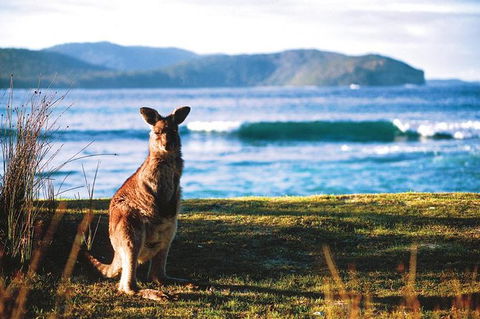 The Eurobodalla Experience (Full Day Private Tour Including Lunch) - Gold Coast Attractions 7