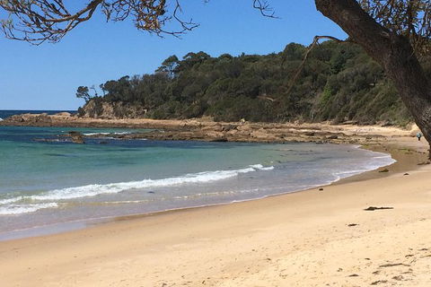 The Eurobodalla Experience (Full Day Private Tour Including Lunch) - Gold Coast Attractions 13