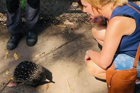 The Eurobodalla Experience (Full Day Private Tour Including Lunch) - Gold Coast Attractions 18