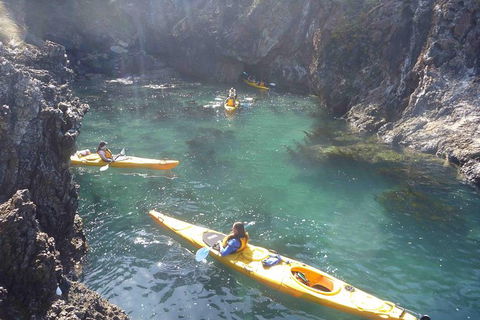 Batemans Bay Full Day Sea Kayak Tour With Beach Picnic Lunch - Gold Coast Attractions 5