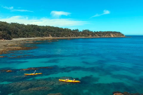 Batemans Bay Full Day Sea Kayak Tour With Beach Picnic Lunch - Gold Coast Attractions 7