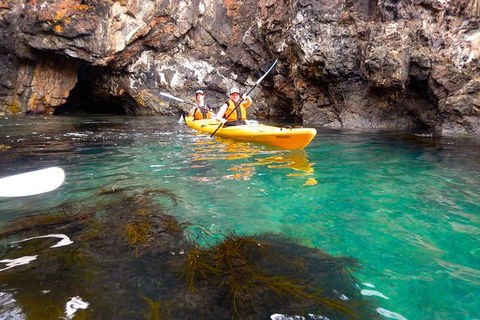 Batemans Bay Full Day Sea Kayak Tour With Beach Picnic Lunch - Gold Coast Attractions 2