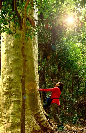3 Day Murramarang Coast Journey From Batemans Bay With Meals And Villa Accom - Gold Coast Attractions 4