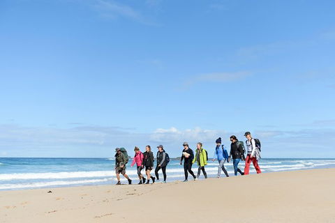 3 Day Murramarang Coast Journey From Batemans Bay With Meals And Villa Accom - Gold Coast Attractions 7