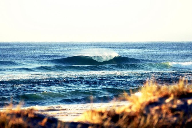 Gold Coast South QLD Gold Coast Attractions