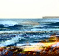 7-Day Byron Bay Evans Head and Moonee Beach Surf Safari from Brisbane Gold Coast or Byron Bay - Gold Coast Attractions