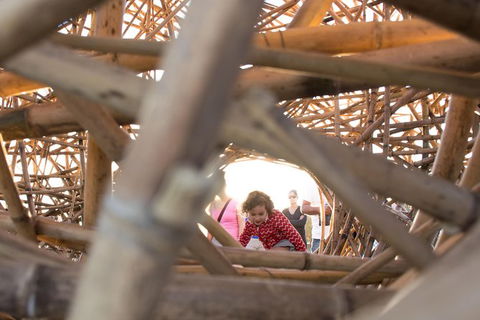 Family Day In Sydney With A Local: Private & Personalized - Gold Coast Attractions 7