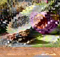 Northern Rivers Distillery Tour from Byron Bay Kingscliff or the Gold Coast - Gold Coast Attractions