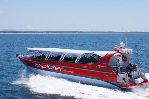 Whale Watching Jervis Bay - Gold Coast Attractions 5