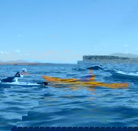 Whale Watching by Sea Kayak in Batemans Bay - Gold Coast Attractions