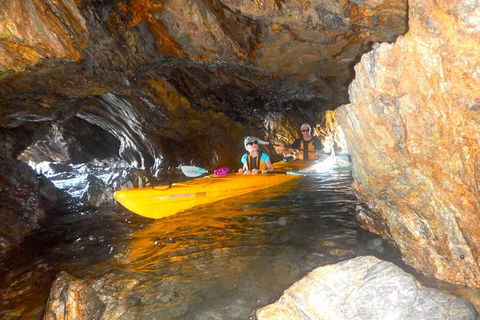 Whale Watching By Sea Kayak In Batemans Bay - Gold Coast Attractions 4