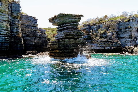 Jervis Bay Passage Tour - Gold Coast Attractions 15