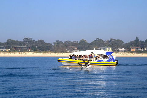 Jervis Bay Passage Tour - Gold Coast Attractions 16