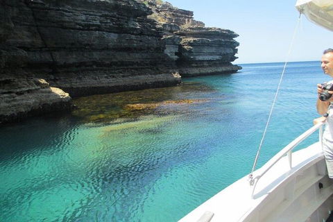 Jervis Bay Passage Tour - Gold Coast Attractions 14