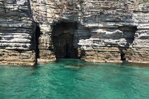 Jervis Bay Passage Tour - Gold Coast Attractions 13
