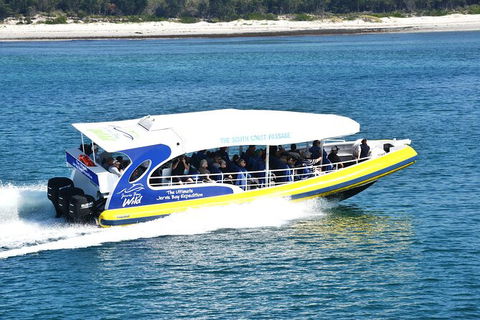 Jervis Bay Passage Tour - Gold Coast Attractions 11