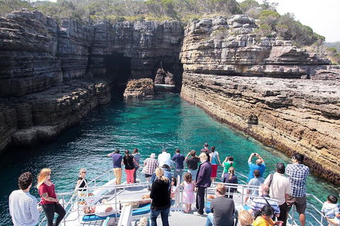 Jervis Bay Passage Tour - Gold Coast Attractions 3
